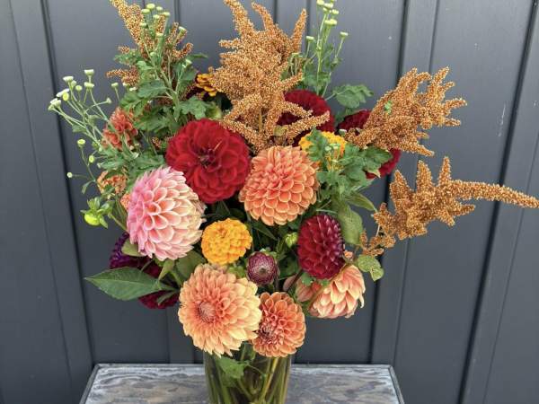 VanderSpek Flower Farm