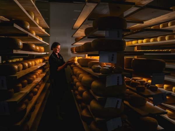 New Galma Dairy & Creamery