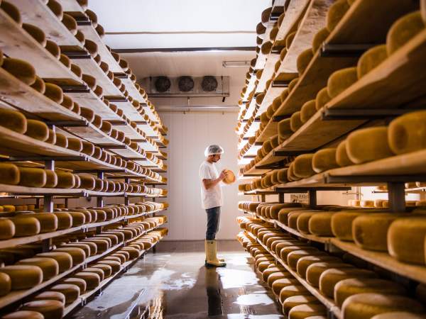Gunn's Hill Artisan Cheese Ltd.