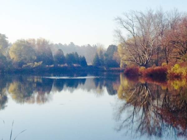 Harrington Community Association