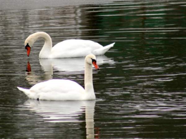 Harrington Conservation Area Trail