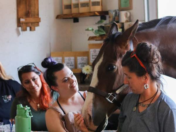🐴✨ Ponies & Pottery Experience 🪴 June 28th 3-6pm