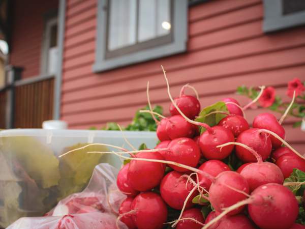 Tillsonburg Farmers' Market