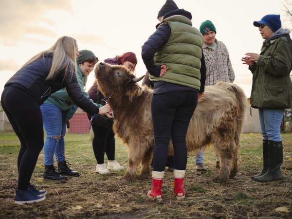 Udderly Ridiculous Farm Life