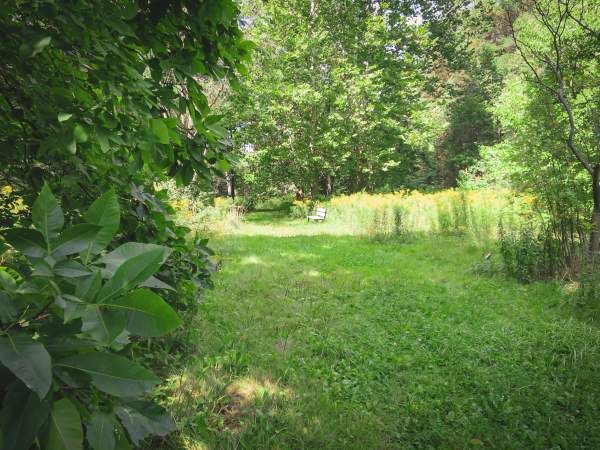 W.L. Dickson Arboretum