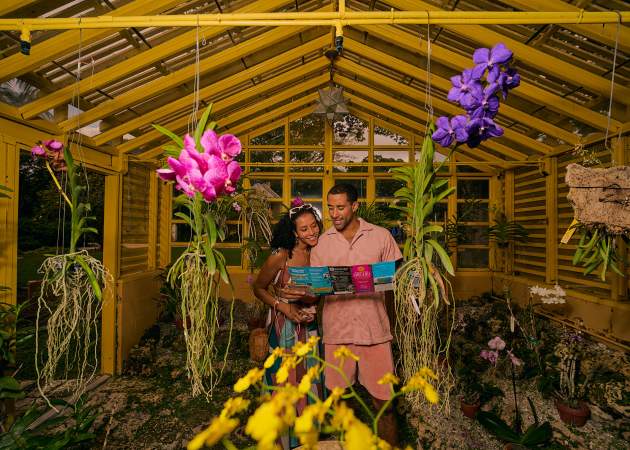 2026 Brand Campaign Bonnet House