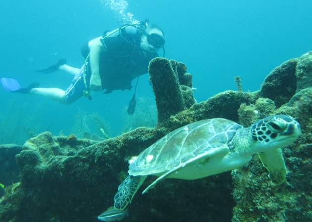 Scuba Diving in Greater Fort Lauderdale