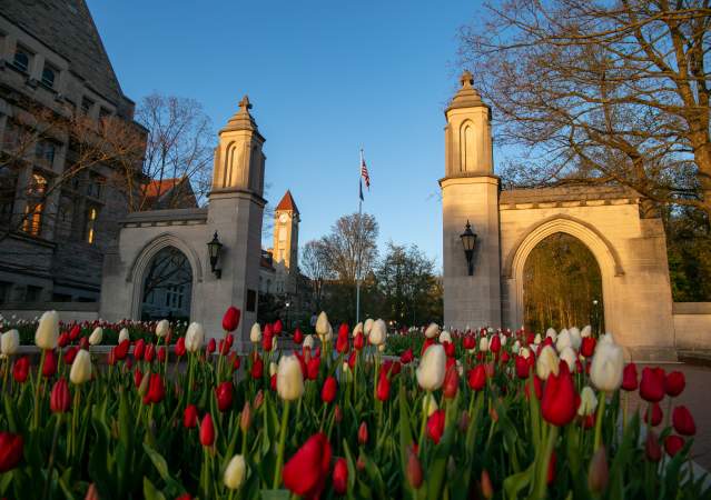 sample gates spring