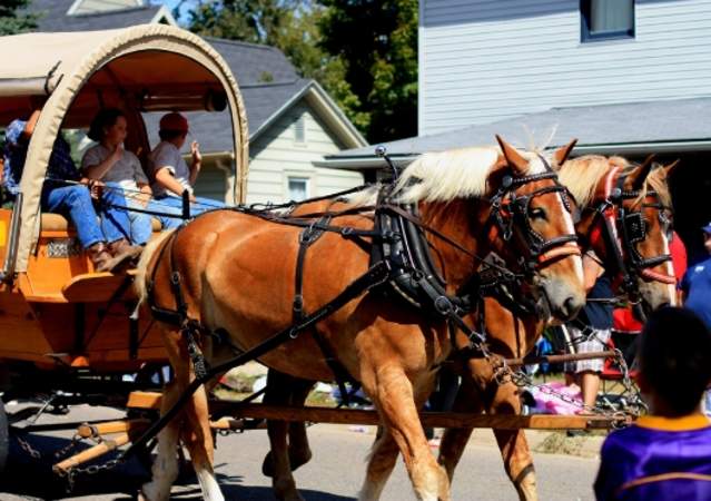 Monroe County Fall Festival