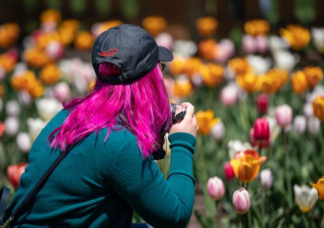 Woman taking photos of flowers