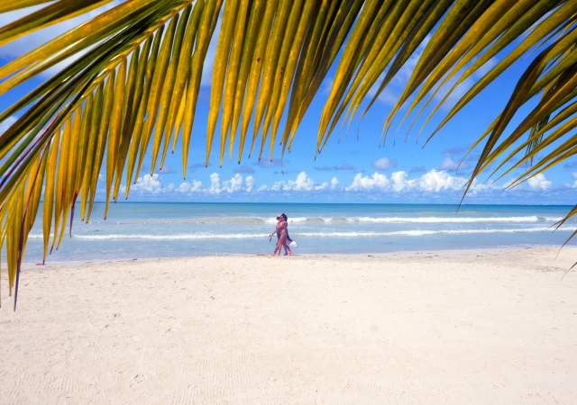 How to Plan the Perfect Day in Negril: Spots that locals love