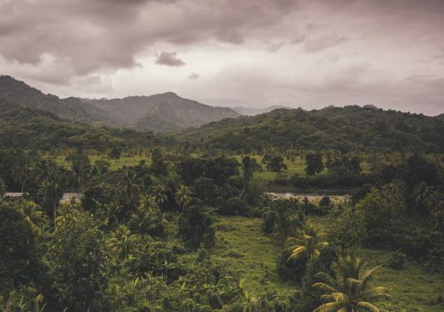 5 Best Places To Enjoy Blue Mountain Coffee (And A Blue Mountain View)