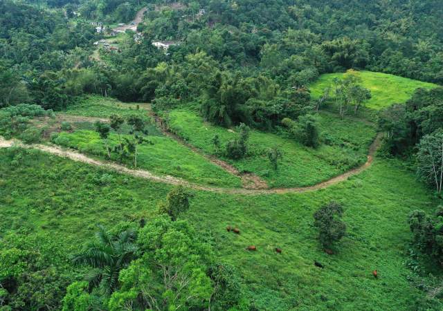 How to Experience Jamaica's 14 Parishes Like a Local