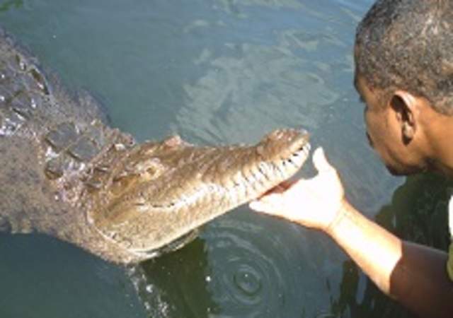 J. Charles Swaby's Black River Safari