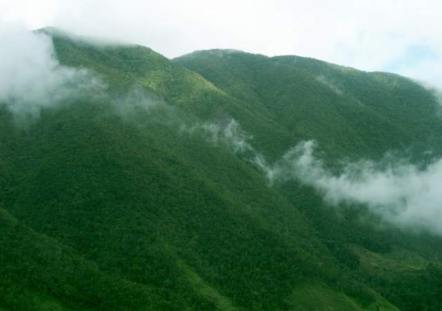Blue and John Crow Mountains National Park