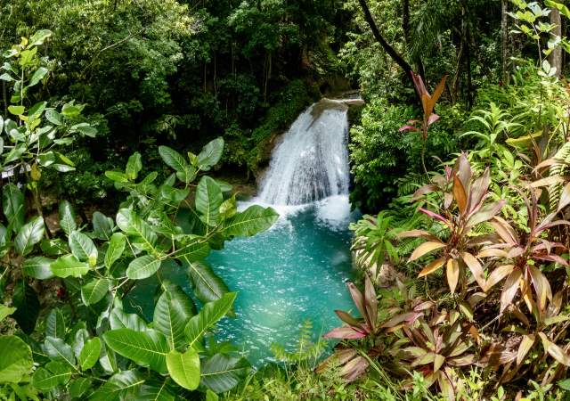 Island Gully Falls Limited