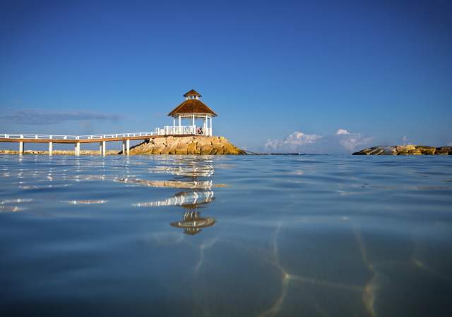 Hyatt Zilara Rose Hall (Adults Only)
