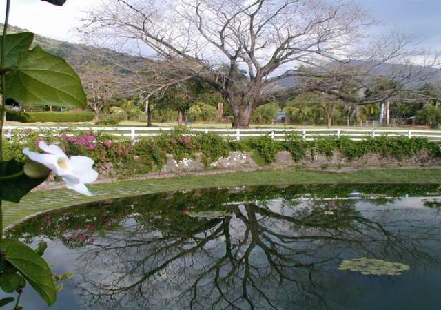 Hope Botanical Gardens