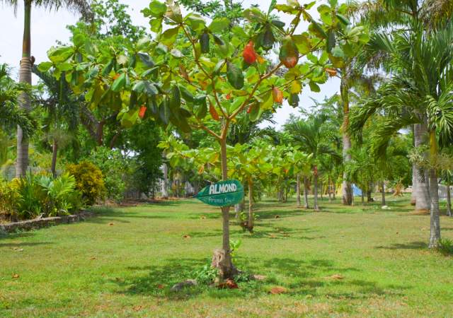 ANR Farms