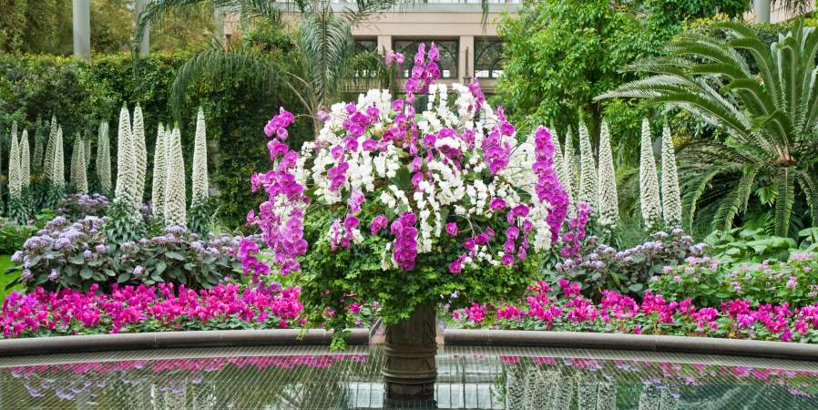 Flower Arrangement at the Longwood Gardens in Wilmington, DE