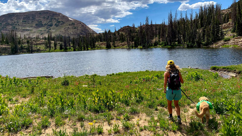 Best Park City, UT Day Hikes