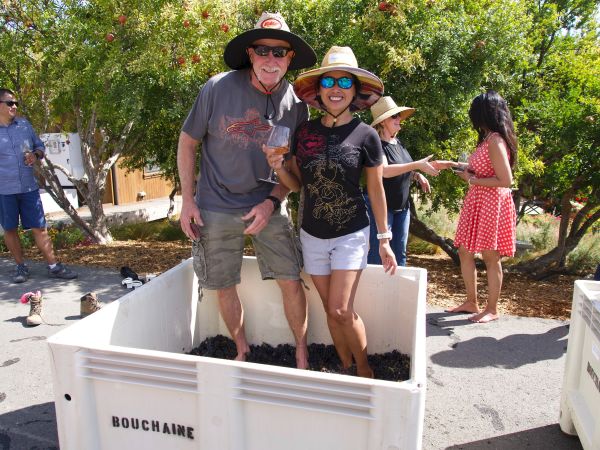 two people standing in a grape bin crushing grapes