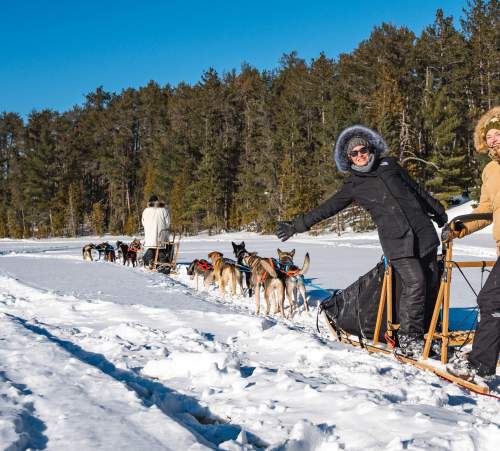 Dogsledding Fun