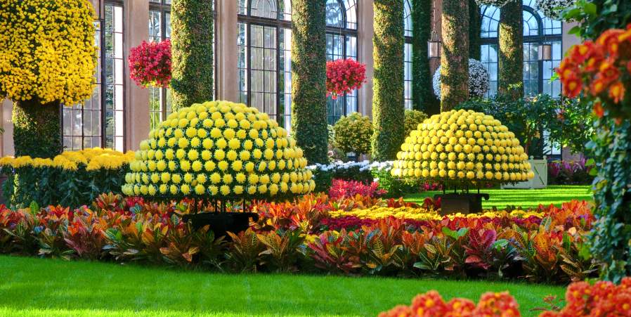 Autumn’s Colors Take Over Longwood Gardens