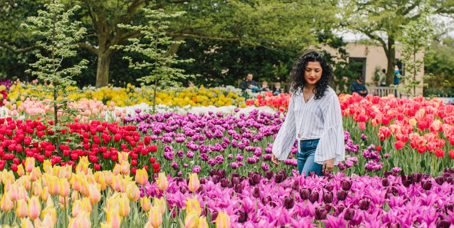 Gardens to Visit This Spring in Wilmington & the Brandywine Valley