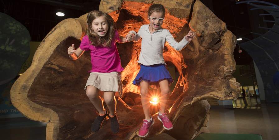 Summer Fun Kids Will Love in Wilmington & the Brandywine Valley