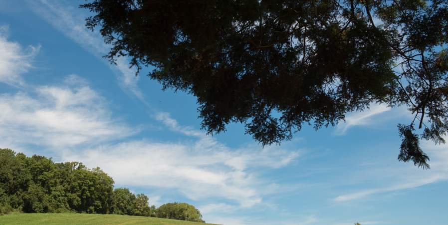 Discover Auburn Valley State Park: History, Trails & Outdoor Adventure in Northern Delaware