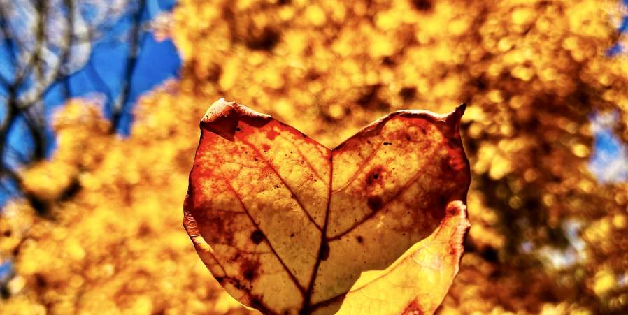 Your Ultimate Fall Bucket List in Greater Wilmington & the Brandywine Valley