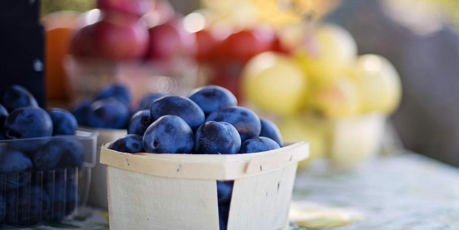 Pick, Snip & Stroll: Summer Fun Returns to Ramsey's Farm