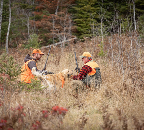 Grouse Hunting