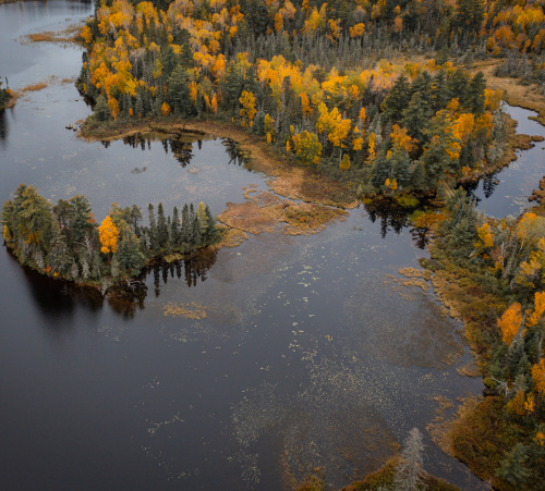 Fall Aerial