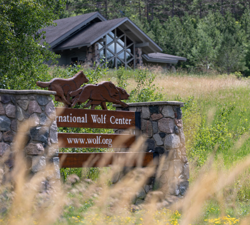 International Wolf Center