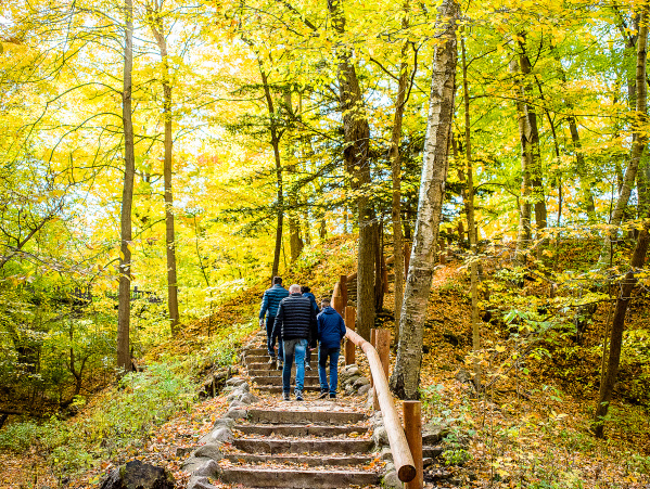 Seven Bridges Fall Family