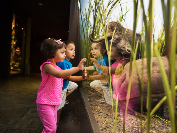 kids lean against exhibit glass