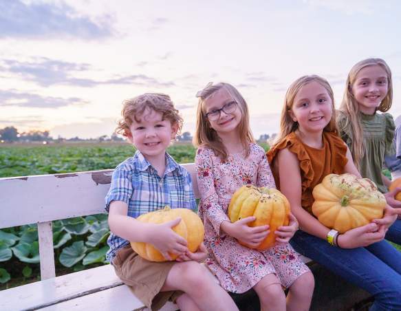 Dixie Maze Fall Festival Pumpkins