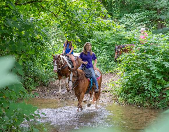 Jordan Hollow Stables