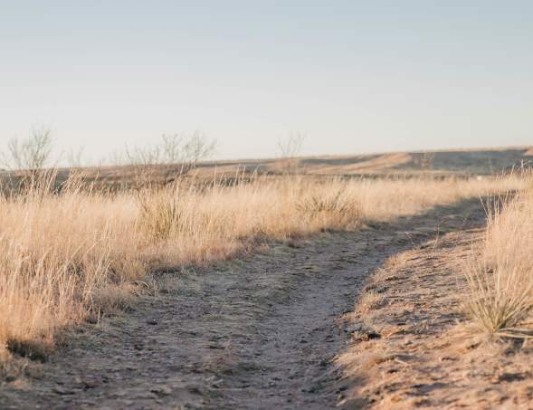 Photo of Wildcat Bluff Nature Center Trail