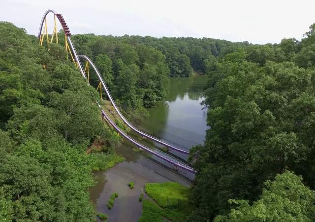 Accessible Adventure: Exploring Busch Gardens® Williamsburg with Houston