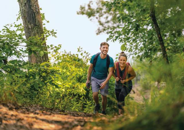 8 Scenic Hiking Trails in Williamsburg