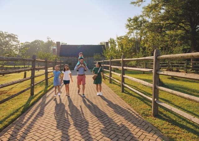 Top Things to Do in Yorktown