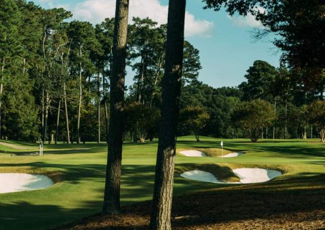 Get into the "Swing" of Golf in Williamsburg