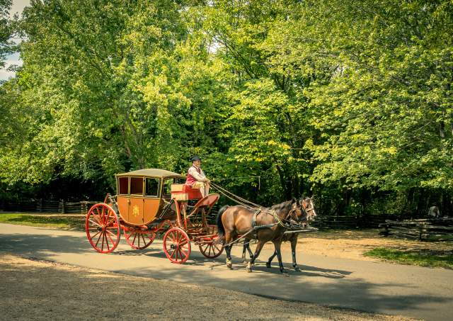 Williamsburg’s Animal Attractions are Best of Breed