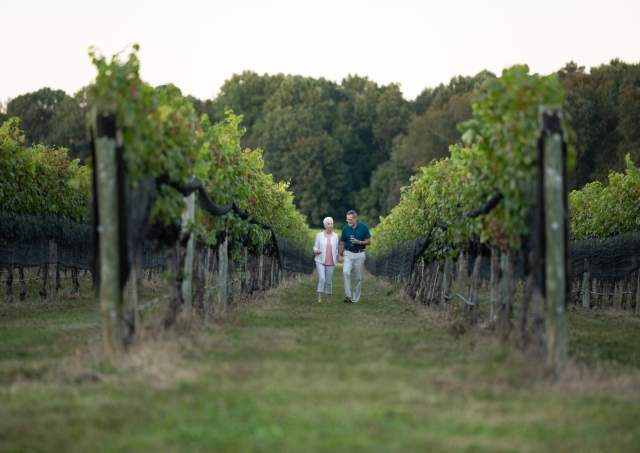 Top Ways to Unwind at the Williamsburg Winery
