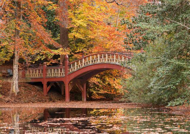 Where to See Fall Foliage in Williamsburg