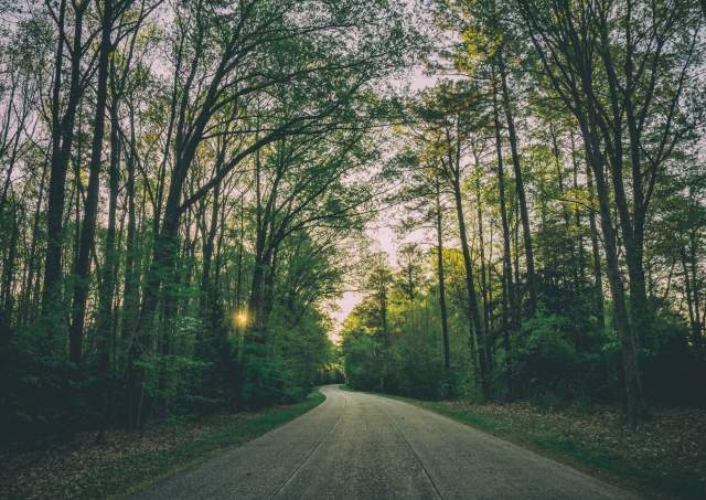 Best Outdoor Escapes in Williamsburg