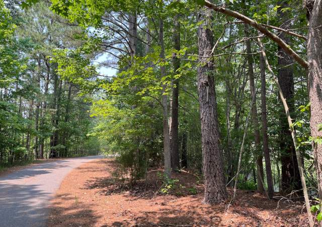Picture-Perfect Parks to Visit in Williamsburg